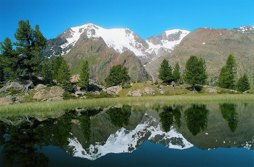 Hotel Michela Male Bagian luar foto